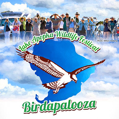 Lake Apopka Wildlife Festival: Birdapalooza
